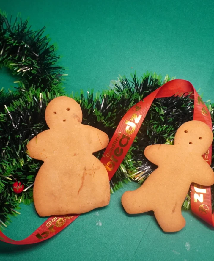 Big Ginger Bread Cookies