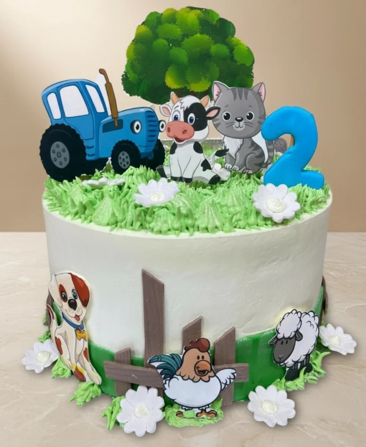 Farm House Celebration Cake