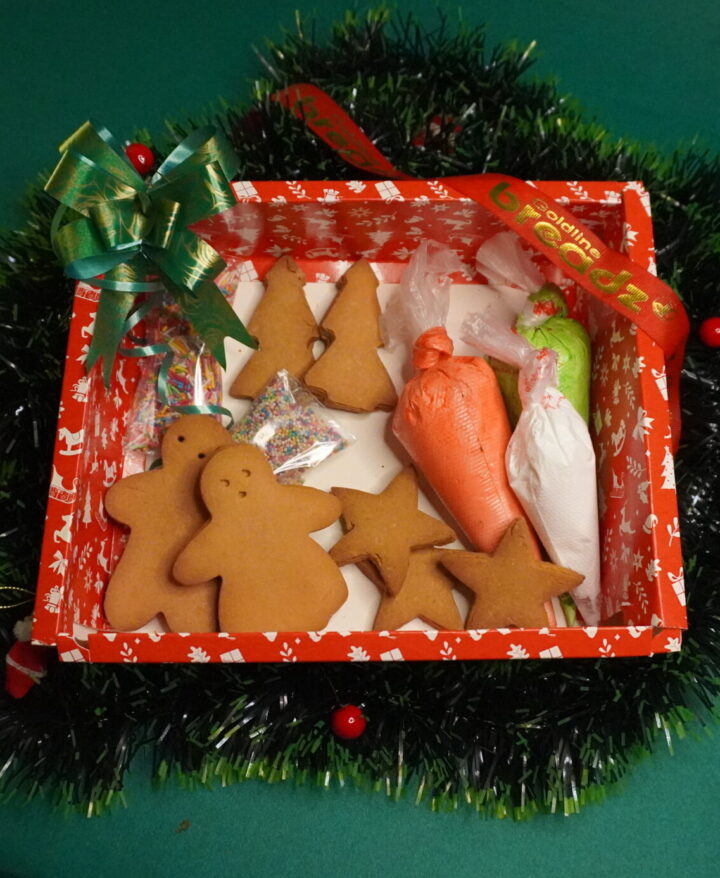 Ginger Bread DIY Kit